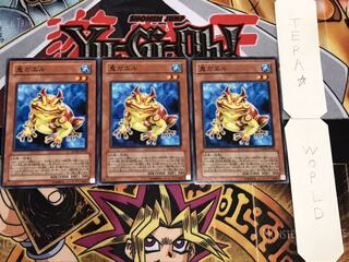 鬼ガエル ノーマル 3枚セット てら