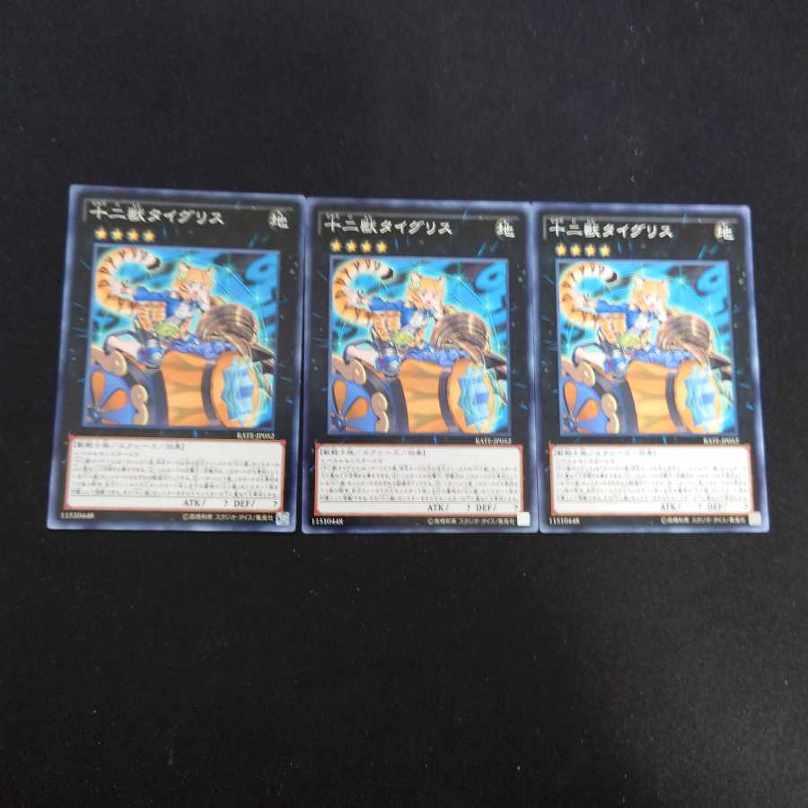 十二獣タイグリス N