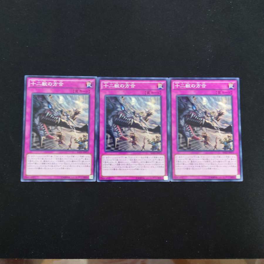 十二獣の方合 N