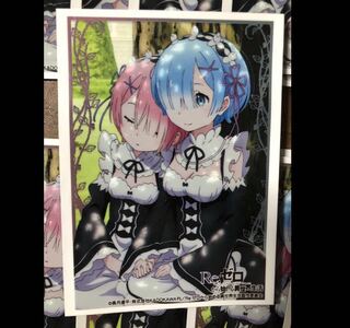 【りゅっぴ様専用】リゼロスリーブ+外スリ