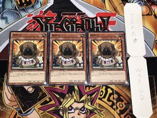 横綱犬 ノーマル 3枚セット てら