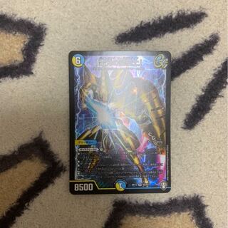 「雷光の聖騎士」