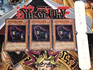 不幸を告げる黒猫 ノーマル 3枚セット てら