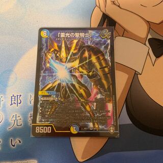 「雷光の聖騎士」