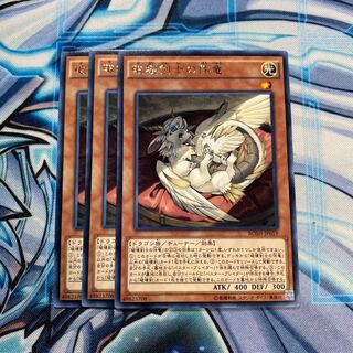 破壊剣士の伴竜 R