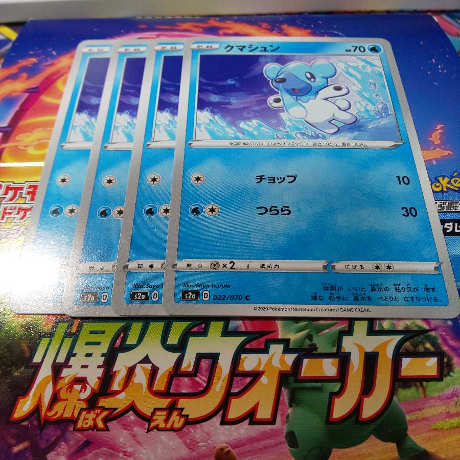 クマシュン 4枚