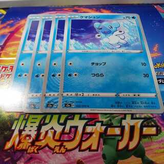 クマシュン 4枚