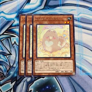 メルフィー・パピィ R