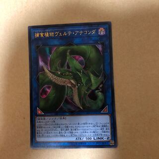 捕食植物ヴェルテ・アナコンダ UR