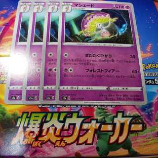 マシェード 4枚