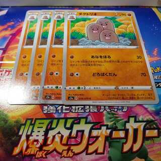 ダグトリオ 4枚