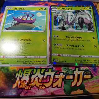 コソクムシ グソクムシャ セット