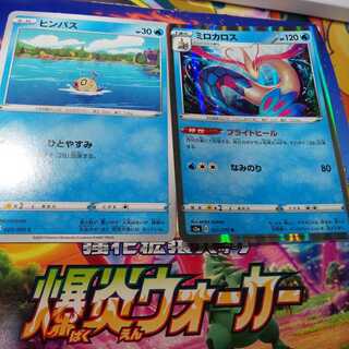 ヒンバス ミロカロス セット