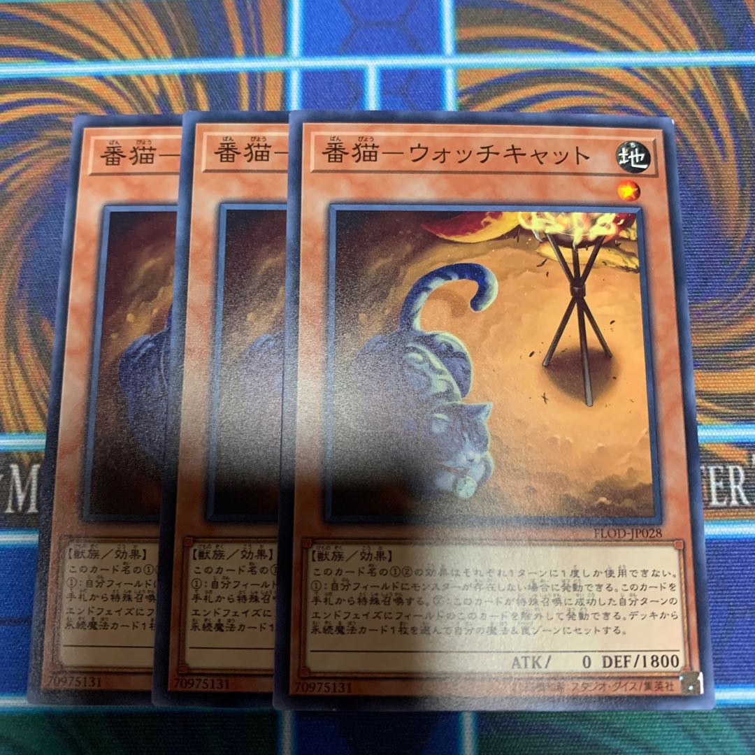 番猫-ウォッチキャット