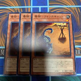 番猫-ウォッチキャット