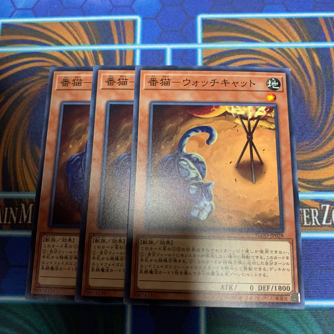 番猫-ウォッチキャット