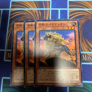 百獣のパラディオン　専用