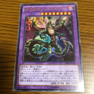 捕食植物ドラゴスタペリア UR