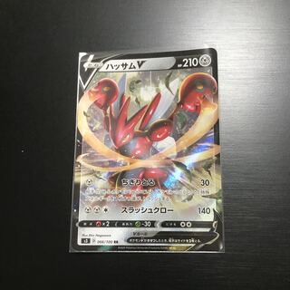 専用 ハッサムv