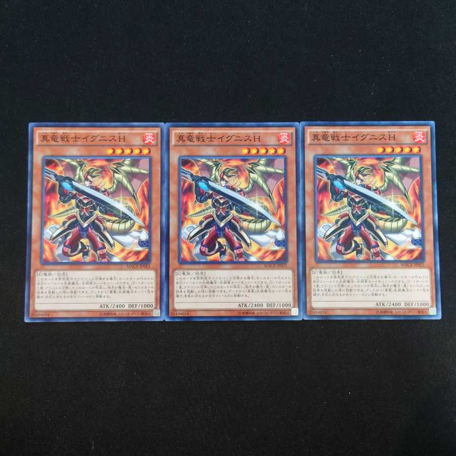 真竜戦士イグニスH N