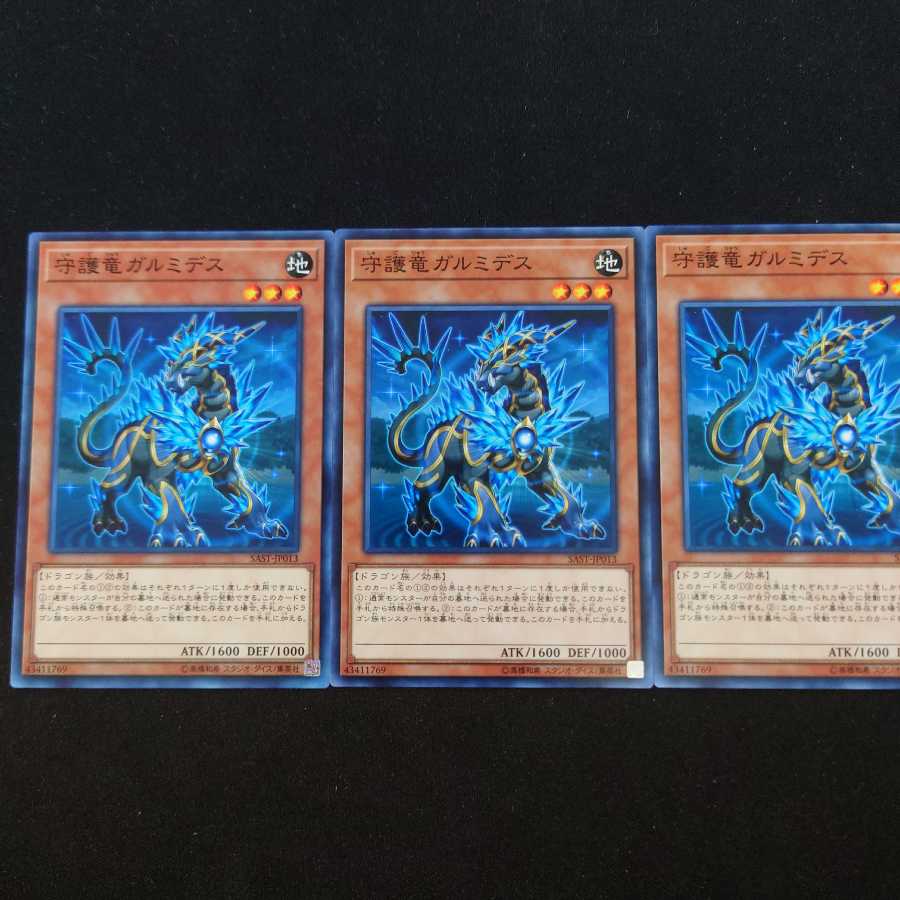 守護竜ガルミデス N