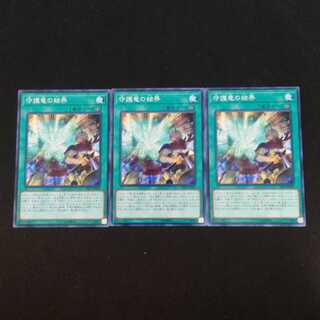 守護竜の結界 N