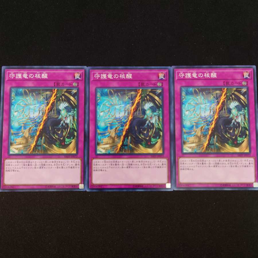 守護竜の核醒 N