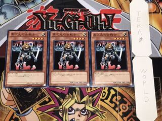 異次元の女戦士 ノーマル 3枚セット てら