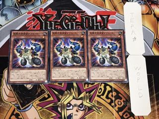 超重武者装留ダブル・ホーン ノーマル 3枚セット てら