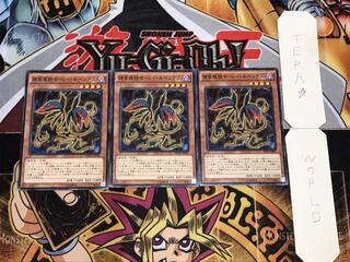 捕食植物モーレイ・ネペンテス ノーマル 3枚セット てら