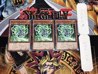 PSYフレーム・マルチスレッダー ノーマル 3枚セット てら