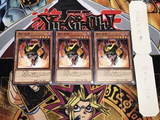 堕ち武者 ノーマル 3枚セット てら