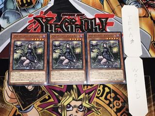 Aromage - marjoram normal, set of 3 tera