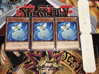 WW-スノウ・ベル ノーマル 3枚セット てら