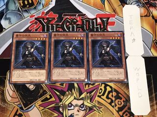 墓守の伏兵 ノーマル 3枚セット てら