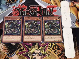 幻木龍 ノーマル 3枚セット てら