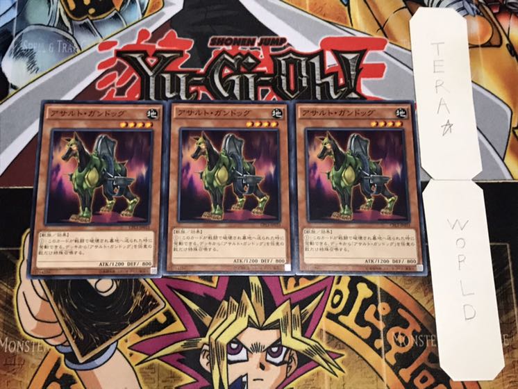 Assault Dog Normal 3-Pack Tera