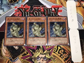 D.D. Survivor Normal, set of 3, Tera