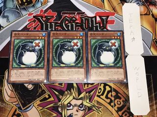 否定ペンギン ノーマル 3枚セット てら