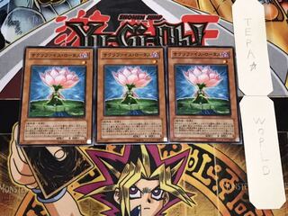 サクリファイス・ロータス ノーマル 3枚セット てら