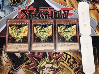 Sacred Phoenix of Nephthys Normal 3-card set Tera