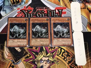 ハイエナ ノーマル 3枚セット てら