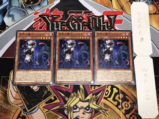 冥界の麗人イゾルデ ノーマル 3枚セット てら