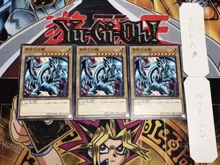 青眼の白龍 DP20 ノーマル 3枚セット てら