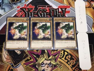 エンジェル・トランペッター ノーマル 3枚セット てら