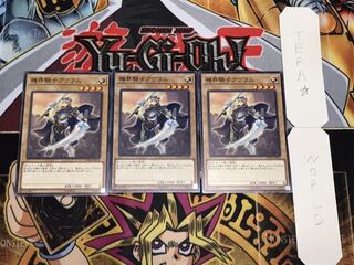 機界騎士アヴラム ノーマル 3枚セット てら