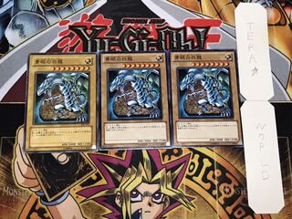 青眼の白龍 ノーマル 3枚セット てら
