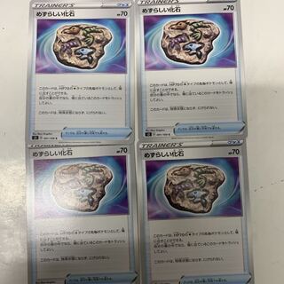 めずらしい化石4枚セット