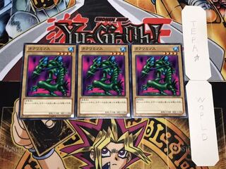 Takriminos TP22 Normal, set of 3 Tera