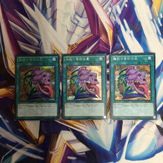 強欲で貪欲な壺　シークレットレア　3枚【39398-37】